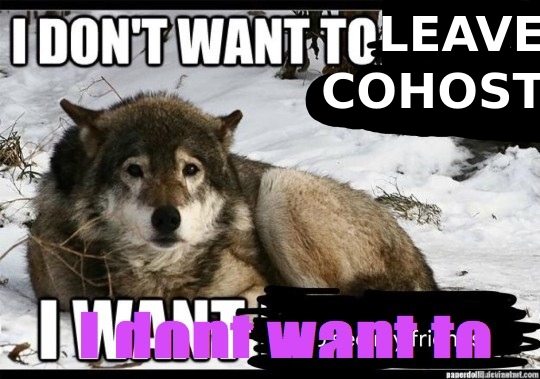 Photo of a wolf in the snow with the words 'I don't want to leave Cohost. I dont want to