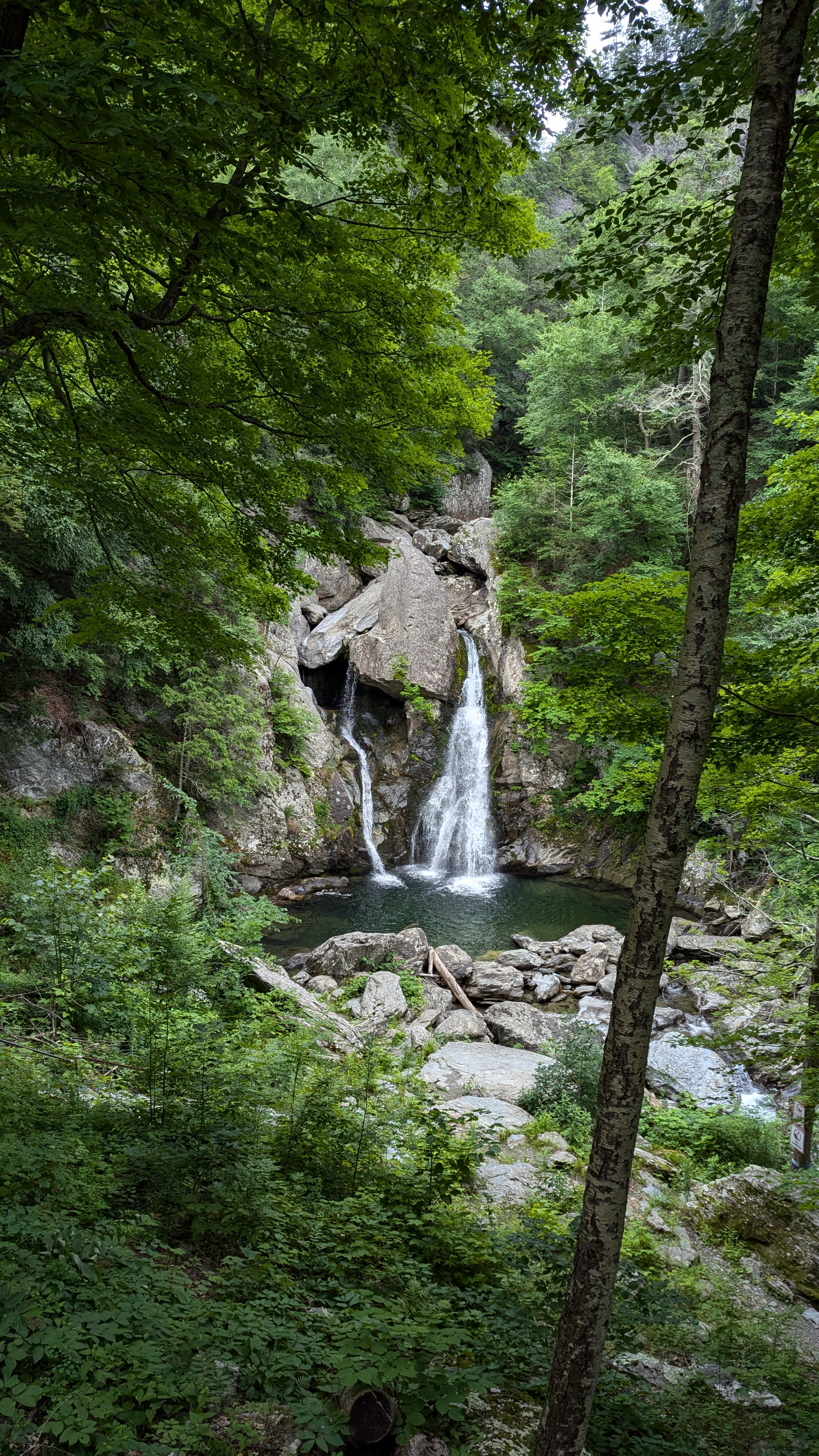 a photo of a waterfall in the woods that looks a bit like a nose