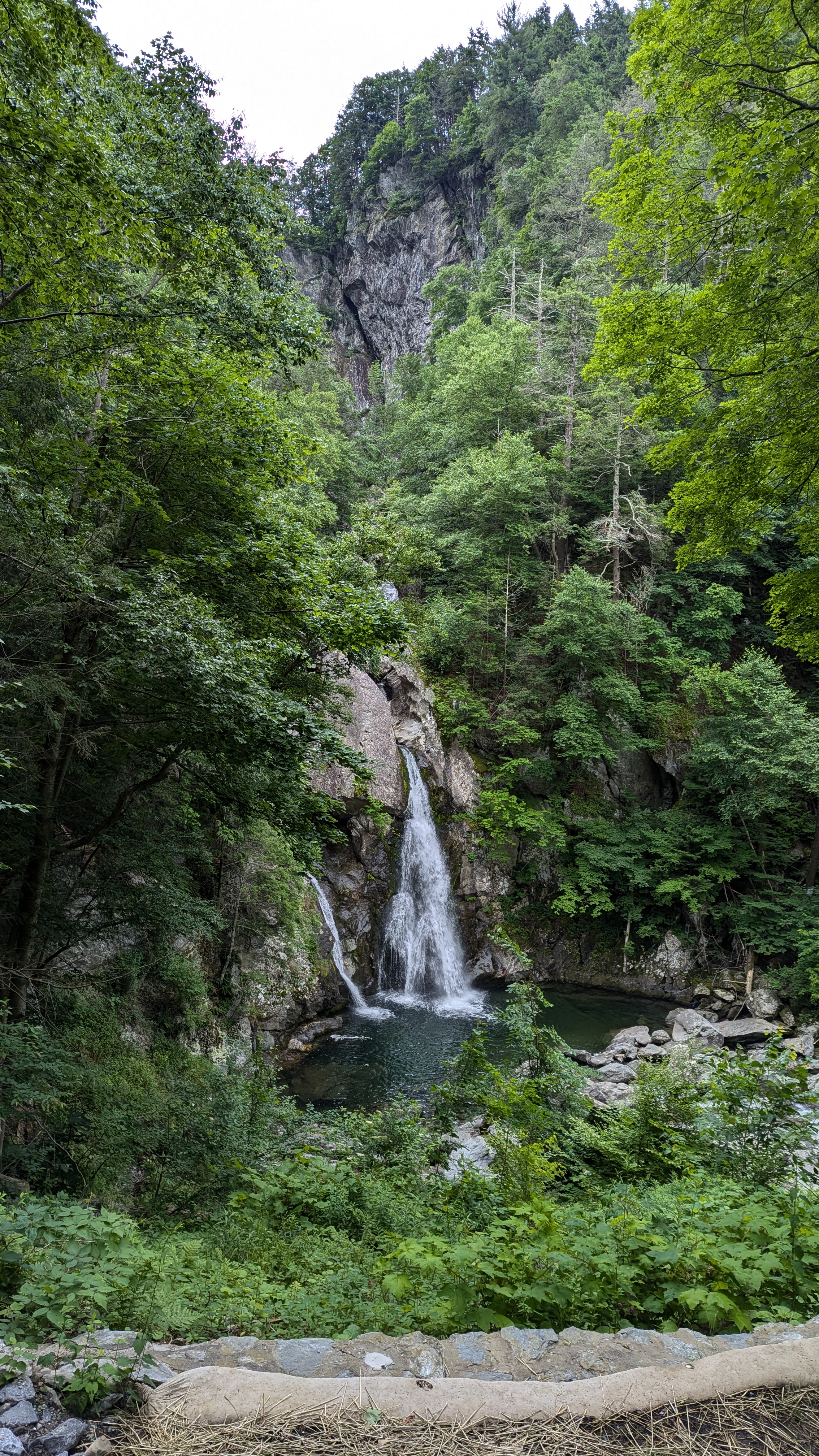 A bit of a wider shot of Bash Bish falls, which shows just how tall the surrounding walls are. The falls look a bit like a nose