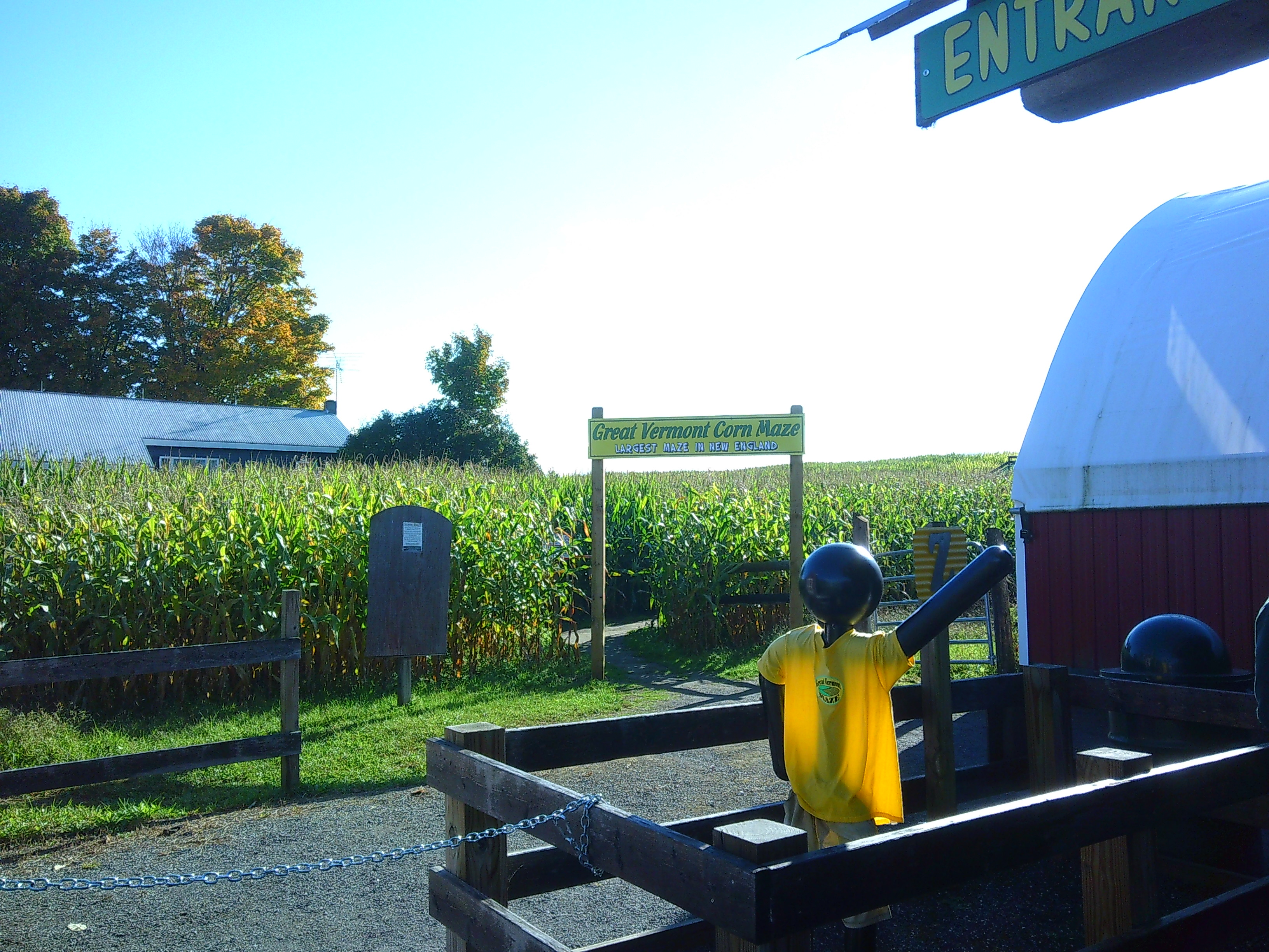 image of the beginning of a corn maze. You can see a mannequin with a 'Great Vermont Corn Maze' shirt, as well as a sign in the background that says 'Great Vermont Corn Maze, Largest Maze in New England'.