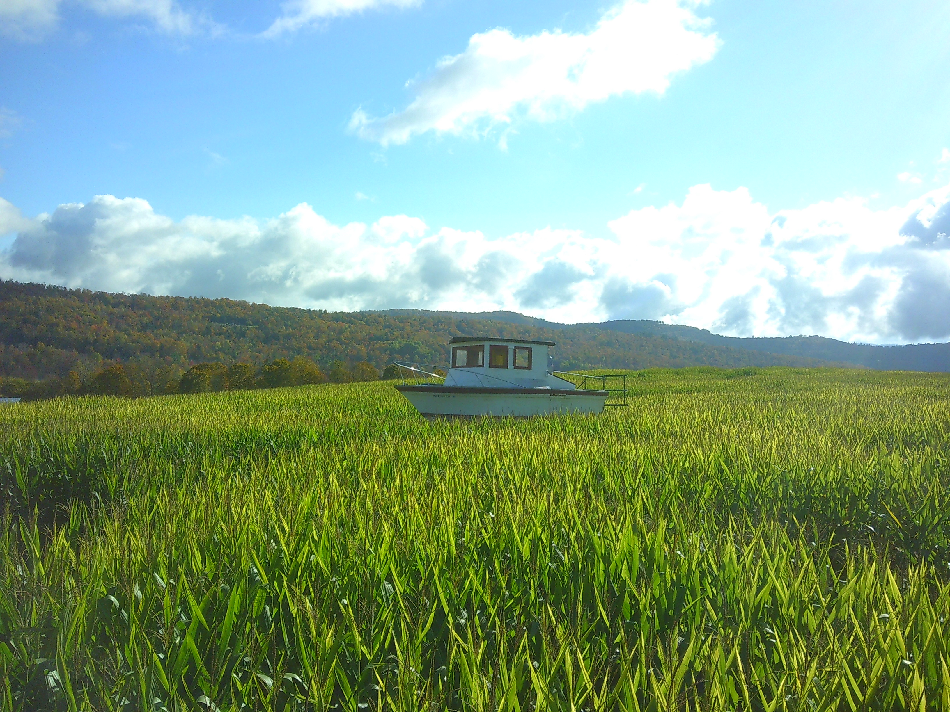 Photo of a boat in a sea of corn