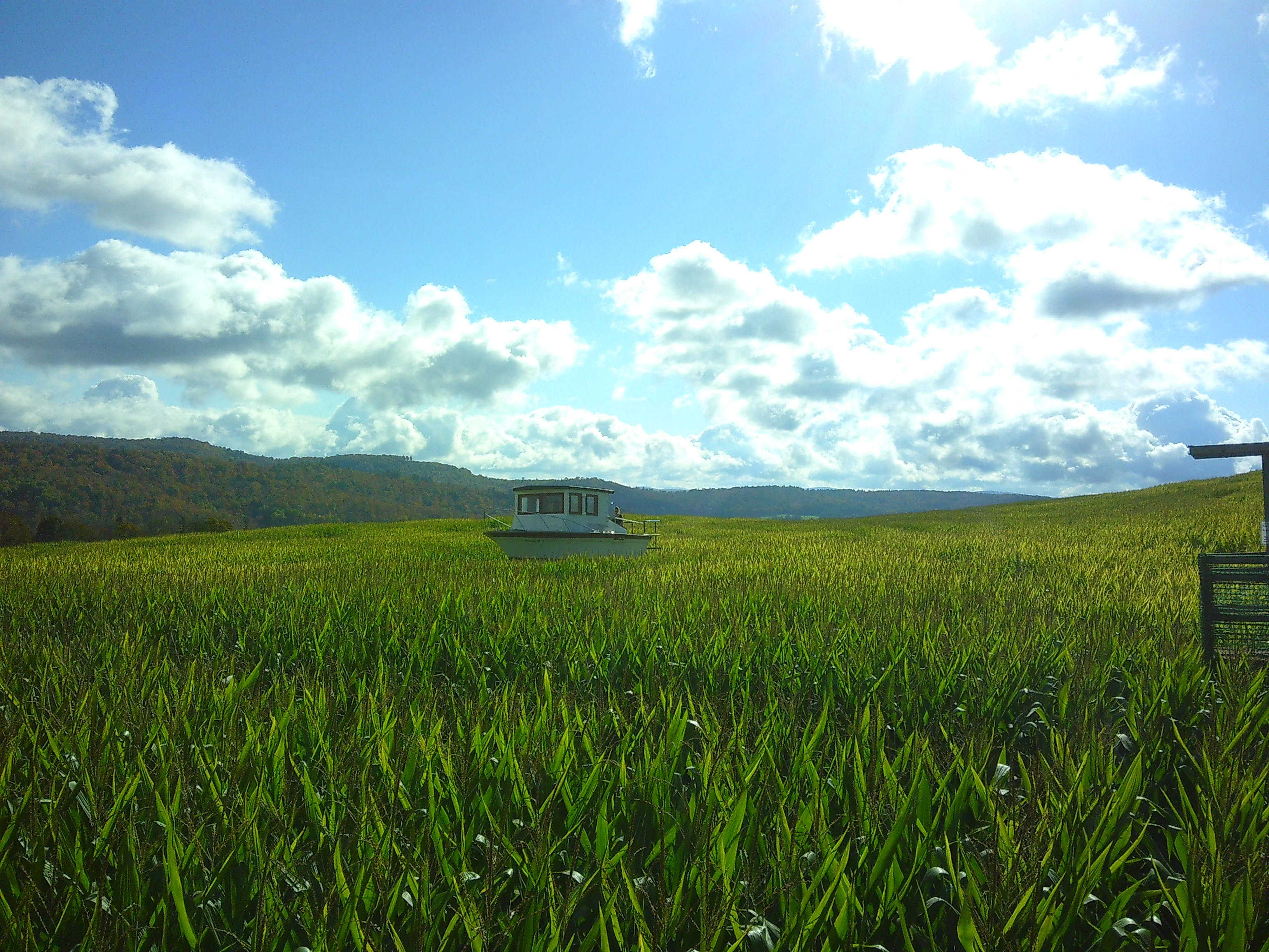 Photo of a boat in a sea of corn, from a slightly different angle