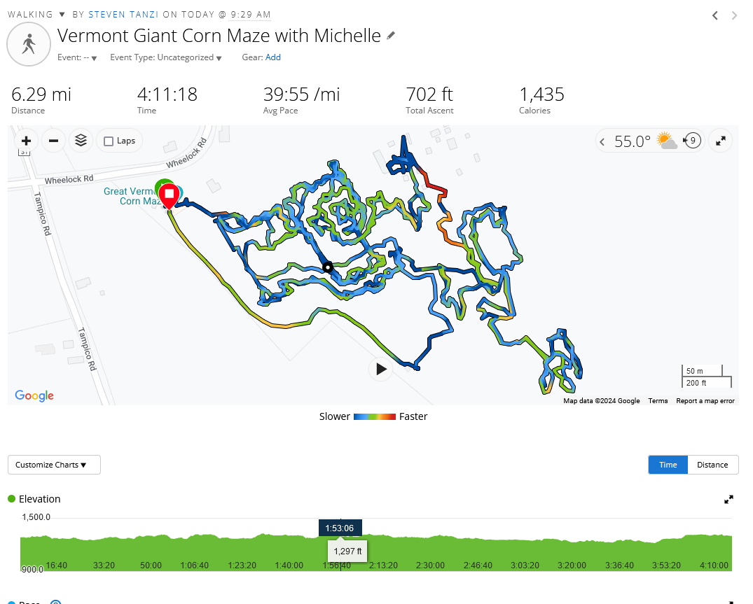 Screenshot of a GPS map of the path Michelle and I took through the maze. There is a lot of doubling back, and going every which way.