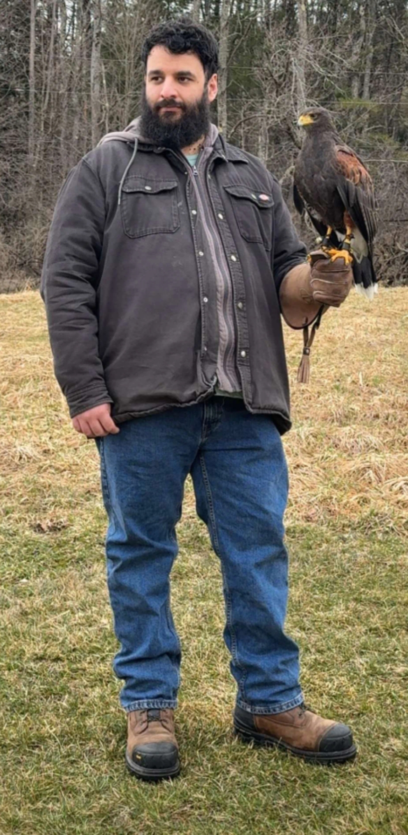 Photo of me holding Niko the Harris Hawk, as both me and him stare off into the distance
