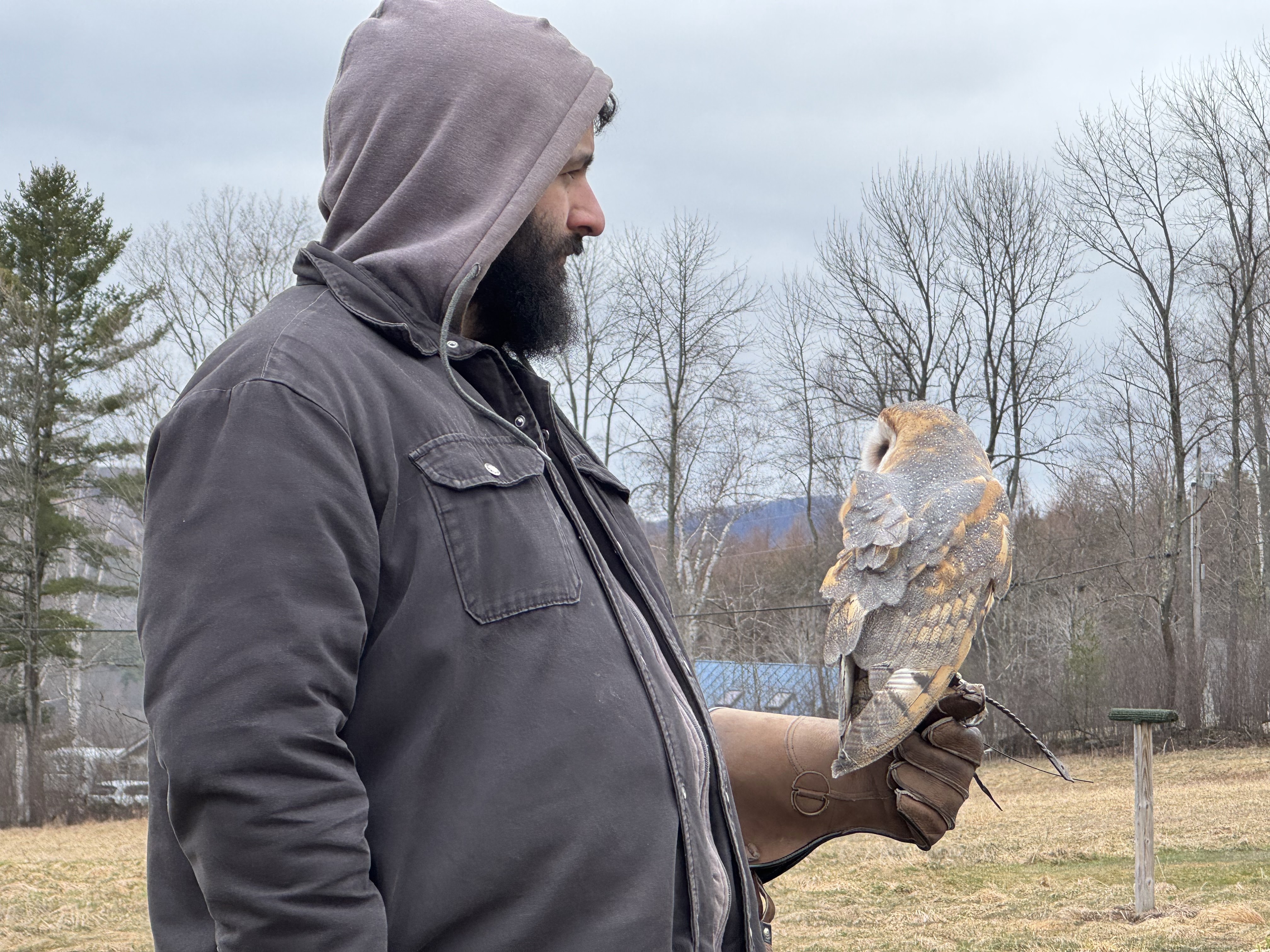 Photo of me holding a Barn Owl named Alba. Alba is looking one direction, while I'm looking the other direction