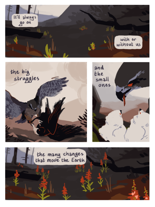 Four panel comic showing a burnt forest, with vegetation just barely beginning to grow back. In the first panel, you see the text 'it'll alwyas go on. With or without us'. In the second panel we see a hawk taking down another large bird, with the text 'the big struggles'. In the third panel, we see the hawk from the 2nd panel feeding baby birds, with the text 'and the small ones'. In the fourth panel, we see flowers coming out of the ground with the text 'the many changes that move the Earth'.