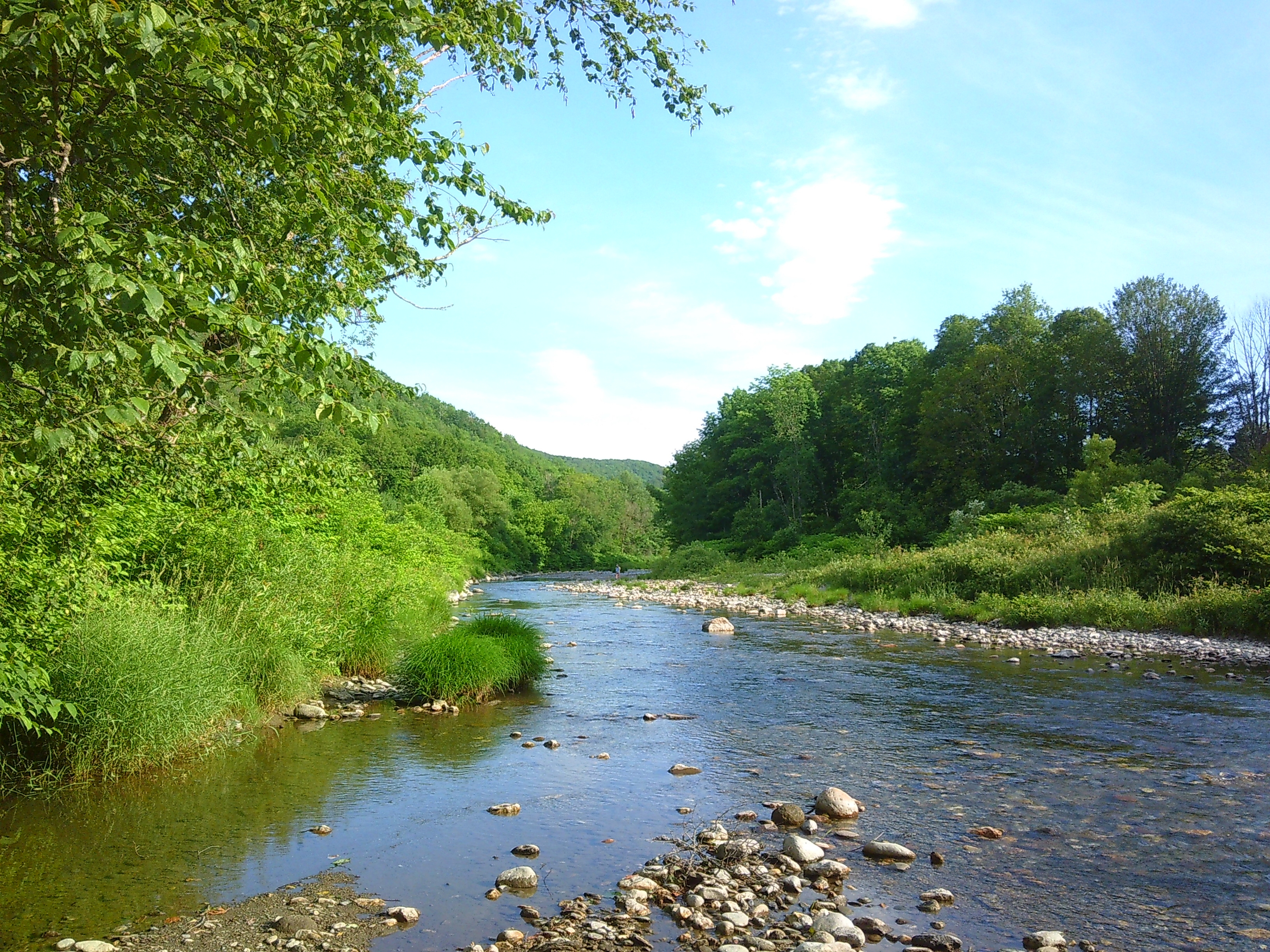 Photo of a river with plenty of green trees surrounding it