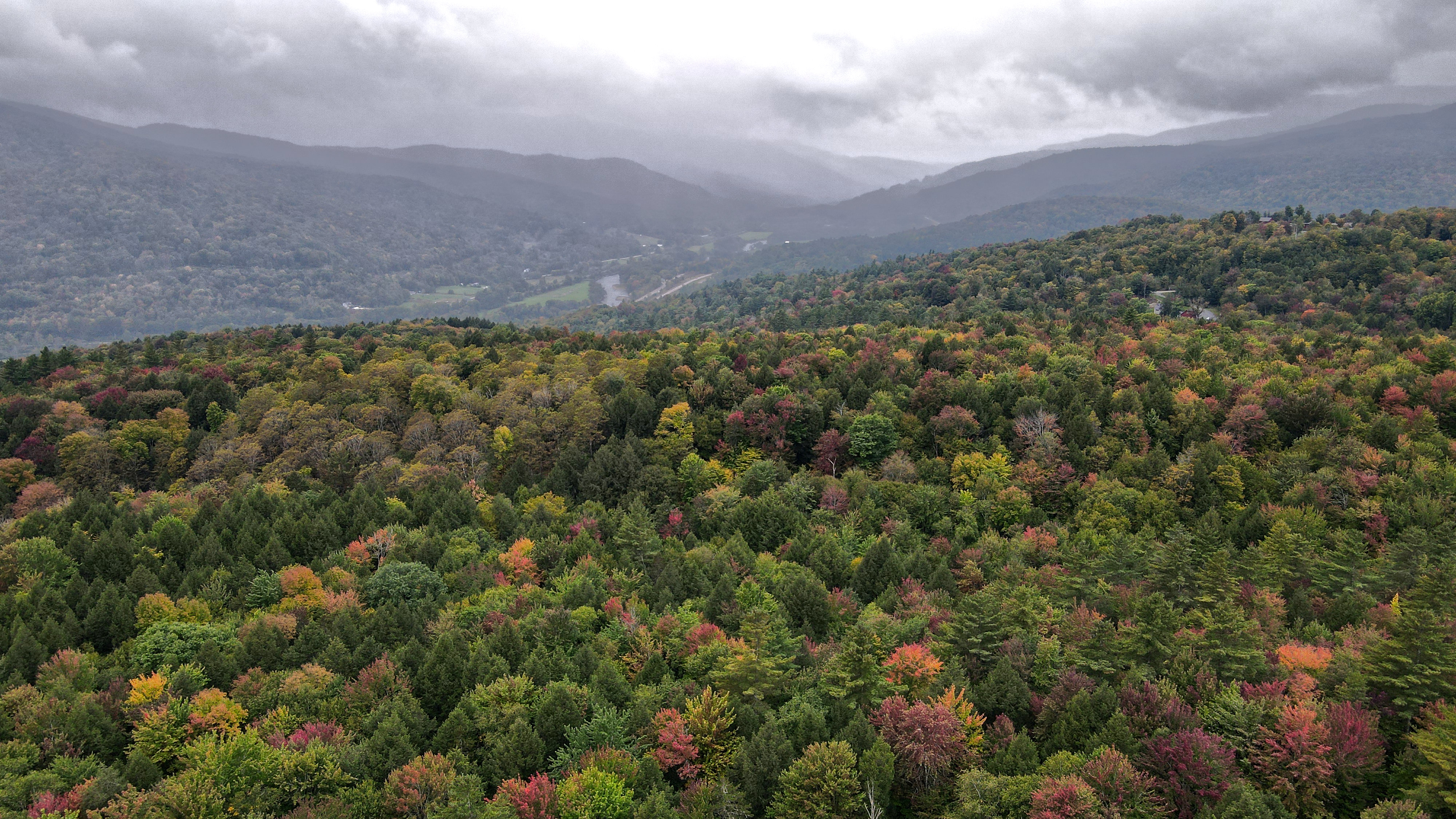 an arial view of the Vermont Mountains at the beginning of fall on a cloudy day- mostly a sea of green trees with a few orange and red ones
