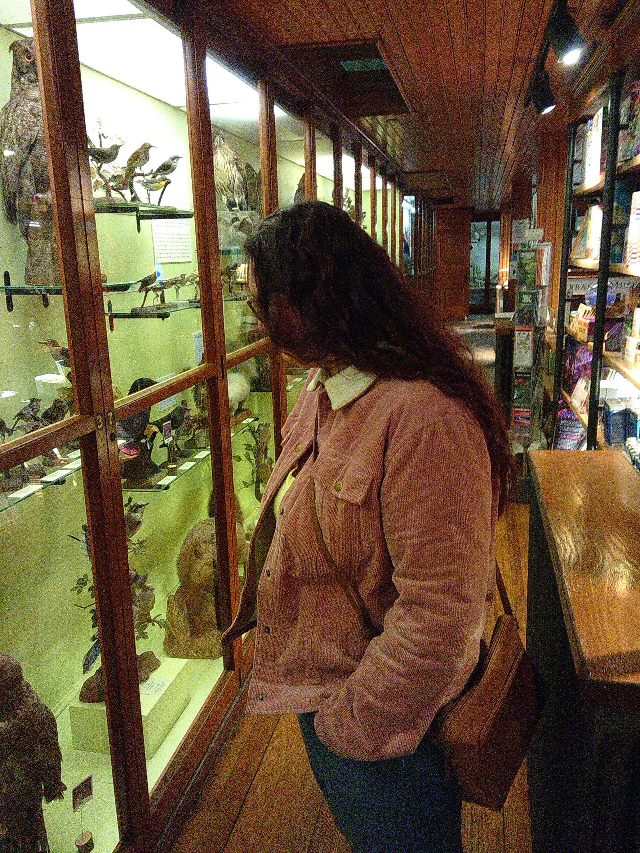 Woman looking at taxidermy animals down a long hallway