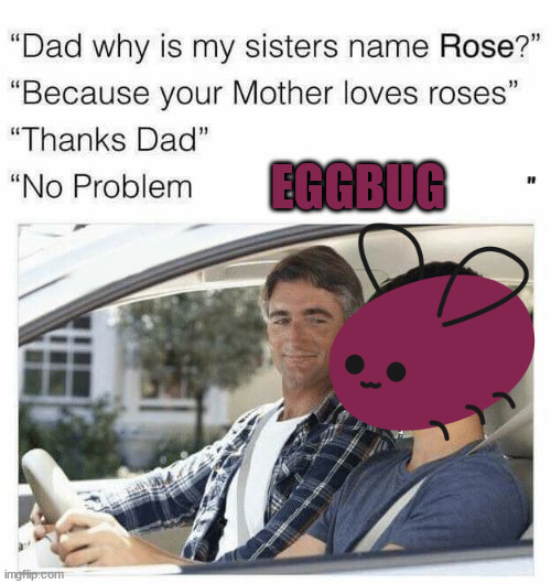 meme that says dad why is my sister named rose. Because your mom loved roses. Thanks dad.
			No problem eggbug