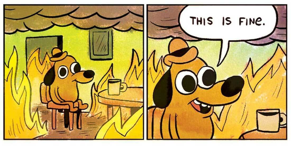 2 panel comic showing a house on fire with a cartoon dog saying 'this is fine' while sitting at a table with a cup of coffee